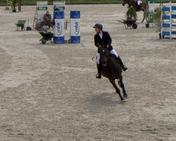 Reitturnier Werdenberg 2024