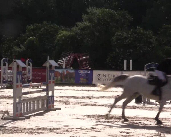 Reitturnier Everswinkel 2024