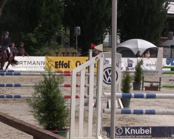 Reitturnier Everswinkel 2024