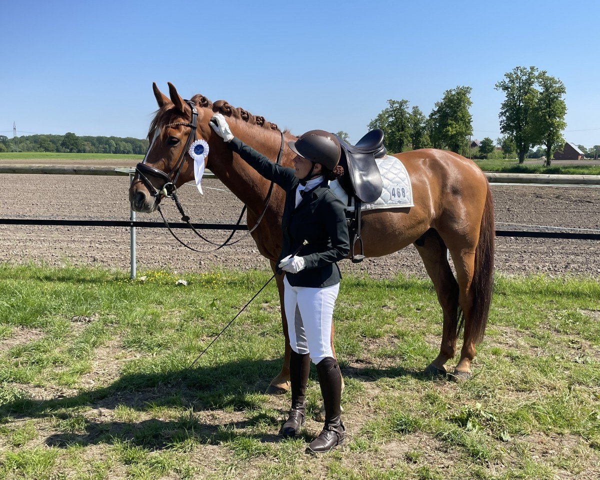 dressage horse Lucardo Larocko (Oldenburg show jumper, 2019, from Lex Lugar)