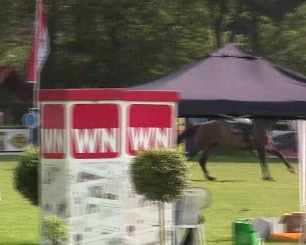 Westfalen-Woche 2012 Münster Handorf