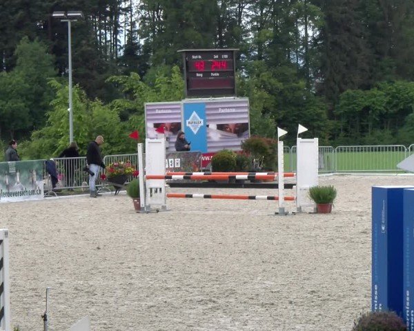 Reitturnier Meilen 2024