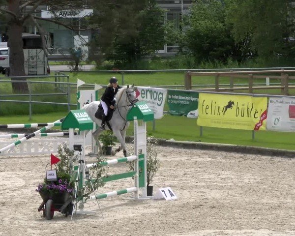 Reitturnier Werdenberg 2024