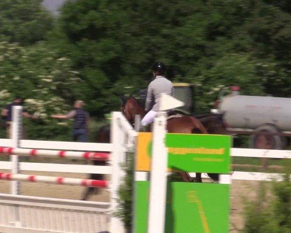 Reitturnier Everswinkel 2024
