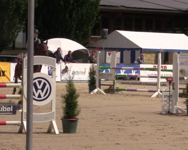 Reitturnier Everswinkel 2024