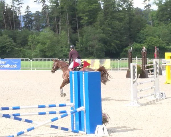 Reitturnier Meilen 2024