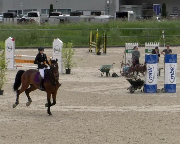 Reitturnier Werdenberg 2024