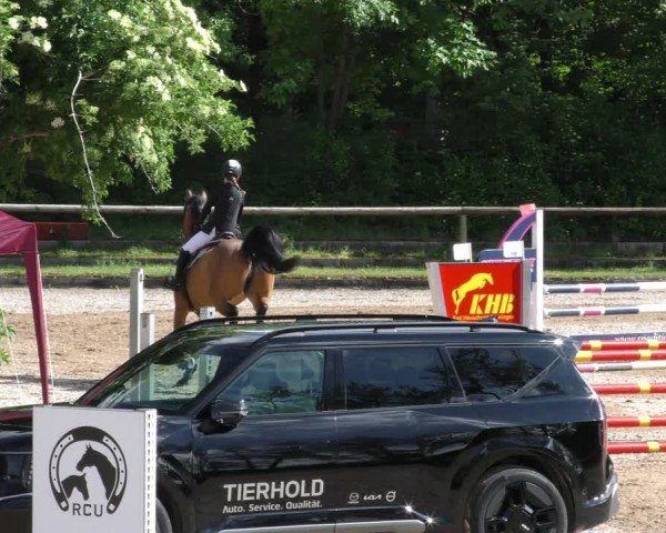 Reitturnier Königsbrunn-Ulrichshof/Schw. 2024