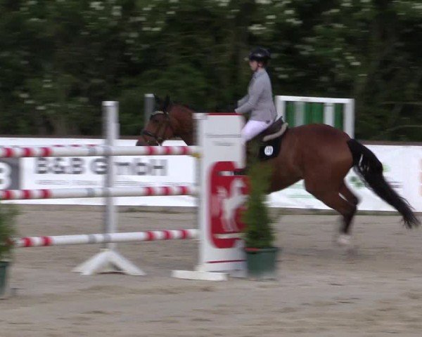Reitturnier Everswinkel 2024