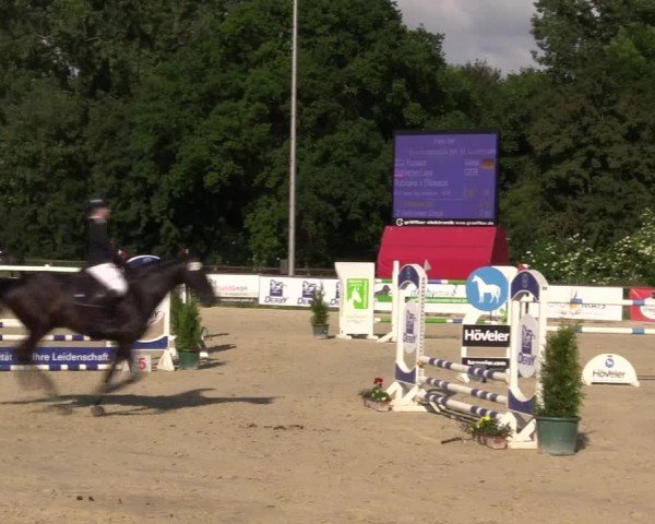 Reitturnier Everswinkel 2024