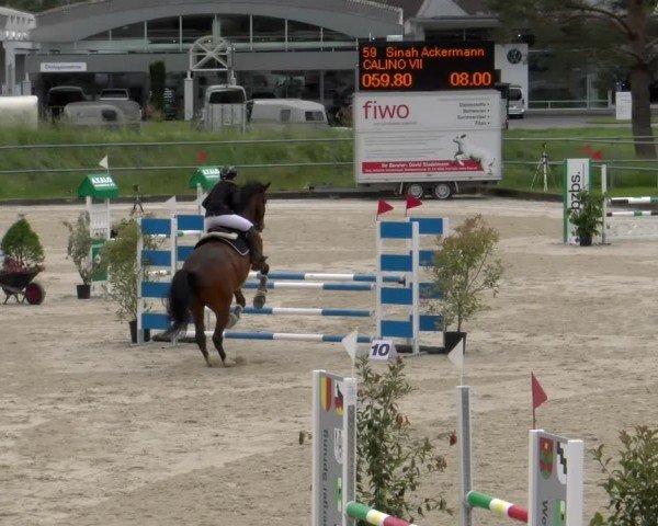 Reitturnier Werdenberg 2024