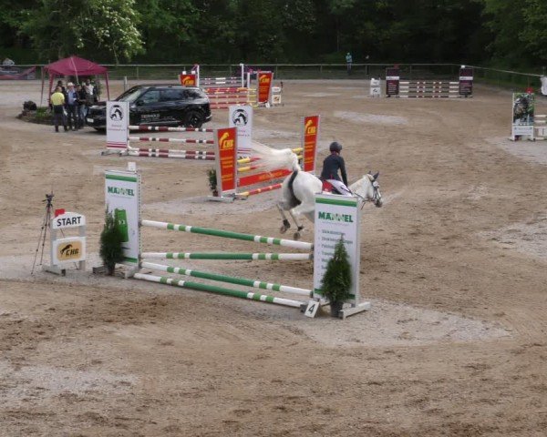 Reitturnier Königsbrunn-Ulrichshof/Schw. 2024
