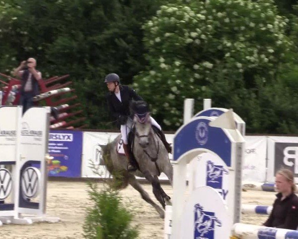 Reitturnier Everswinkel 2024