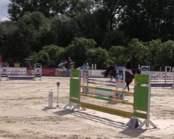 Reitturnier Everswinkel 2024