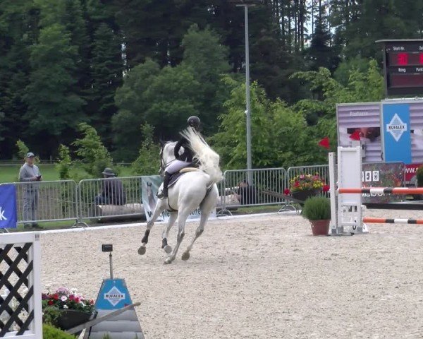 Reitturnier Meilen 2024