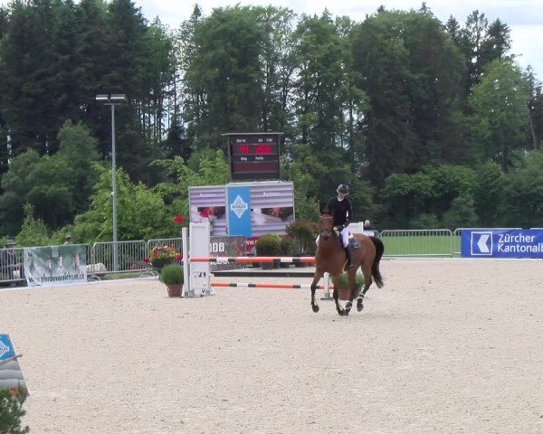 Reitturnier Meilen 2024