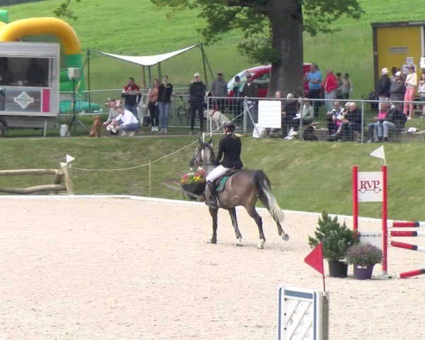Reitturnier Meilen 2024