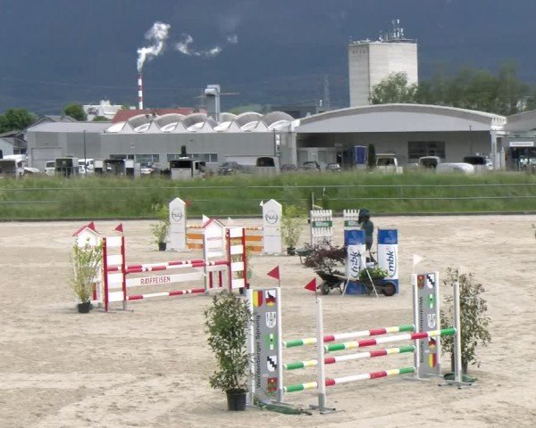 Reitturnier Werdenberg 2024