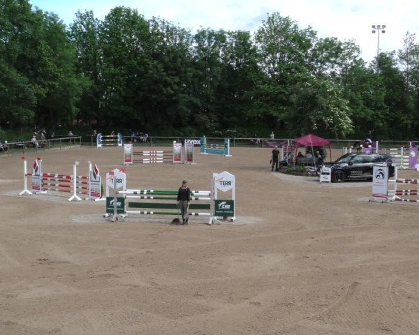 Reitturnier Königsbrunn-Ulrichshof/Schw. 2024