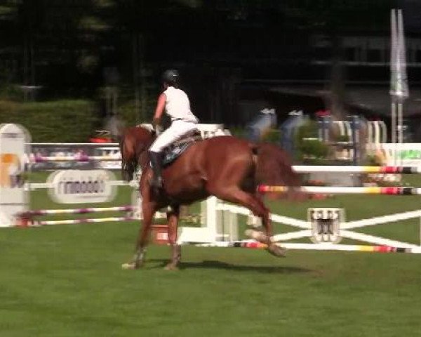 Reitturnier Münster-Handorf 2012