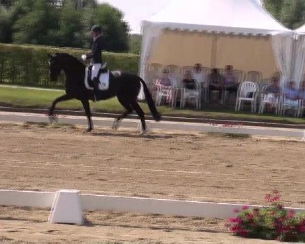 Westfalen-Woche 2012 Münster Handorf