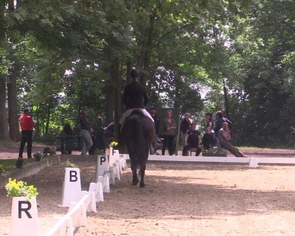 Reitturnier Königsborn 2024