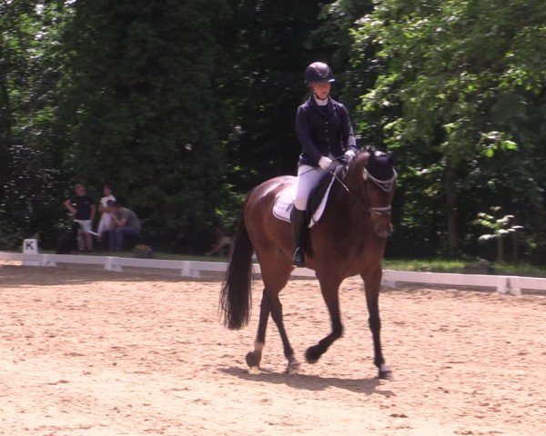 Reitturnier Königsborn 2024