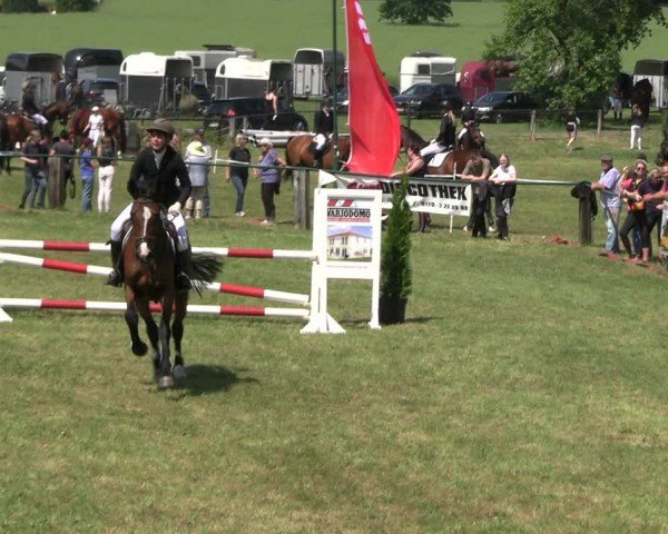 Reitturnier Buckow bei Beeskow (LOS) 2024