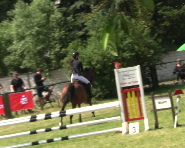Reitturnier Buckow bei Beeskow (LOS) 2024