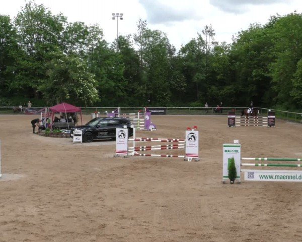 Reitturnier Königsbrunn-Ulrichshof/Schw. 2024