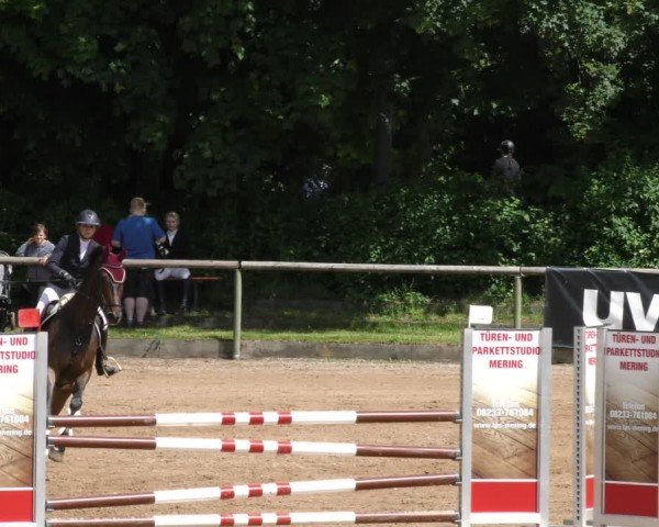 Reitturnier Königsbrunn-Ulrichshof/Schw. 2024