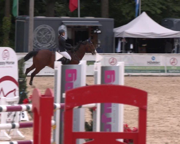 Reitturnier Ranshofen - Braunau am Inn 2024