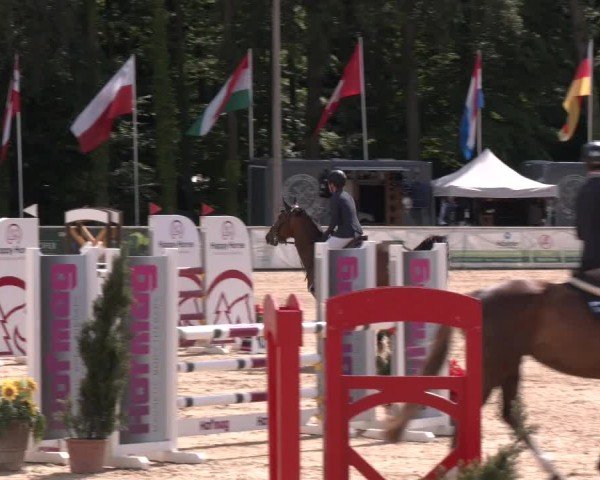 Reitturnier Ranshofen - Braunau am Inn 2024
