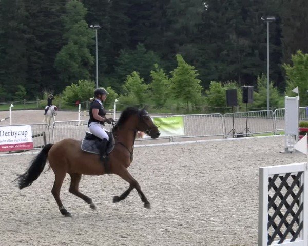 Reitturnier Meilen 2024