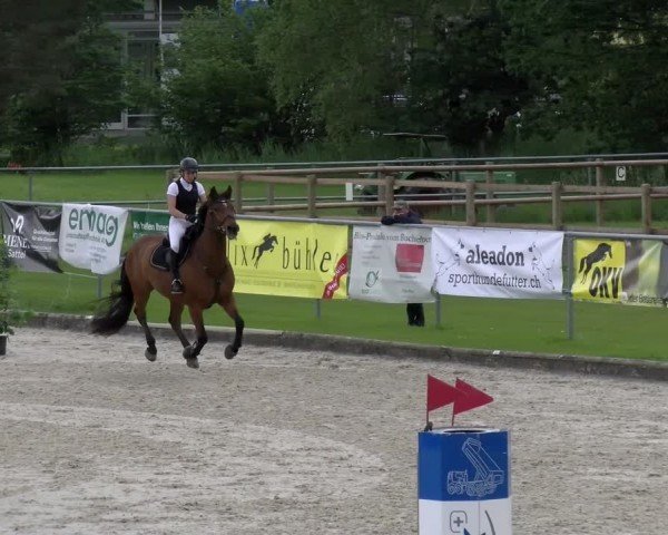 Reitturnier Werdenberg 2024