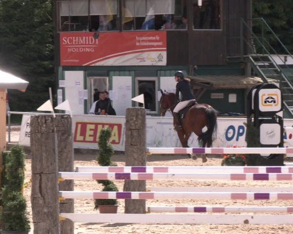 Reitturnier Ranshofen - Braunau am Inn 2024