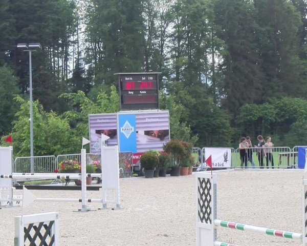 Reitturnier Meilen 2024