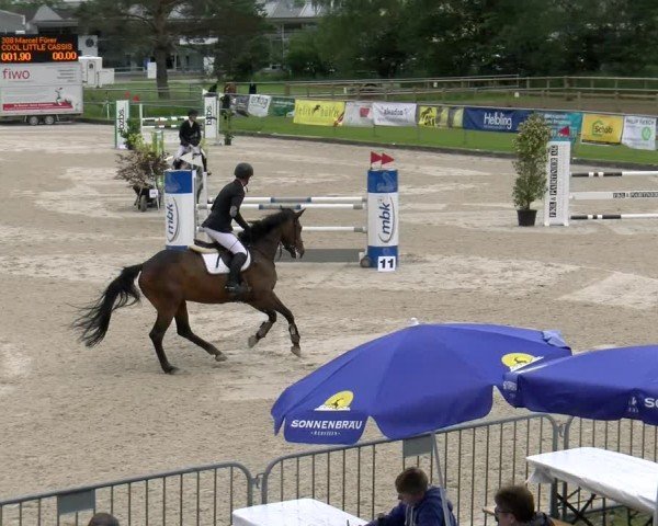 Reitturnier Werdenberg 2024