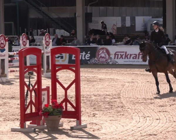 Reitturnier Ranshofen - Braunau am Inn 2024