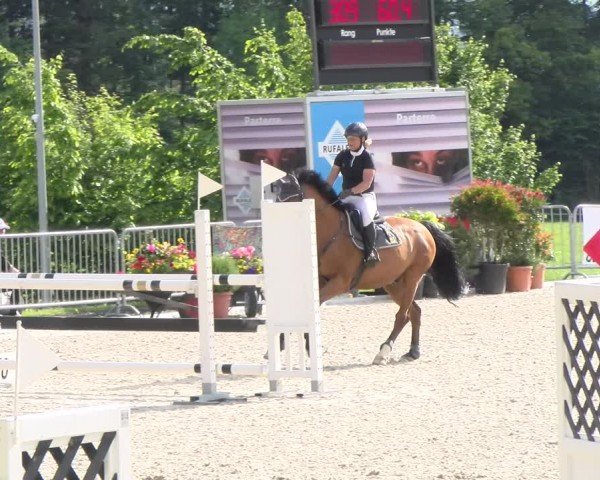 Reitturnier Meilen 2024