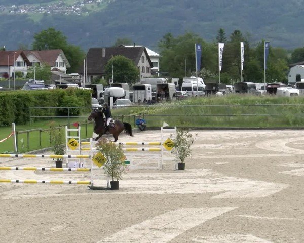 Reitturnier Werdenberg 2024
