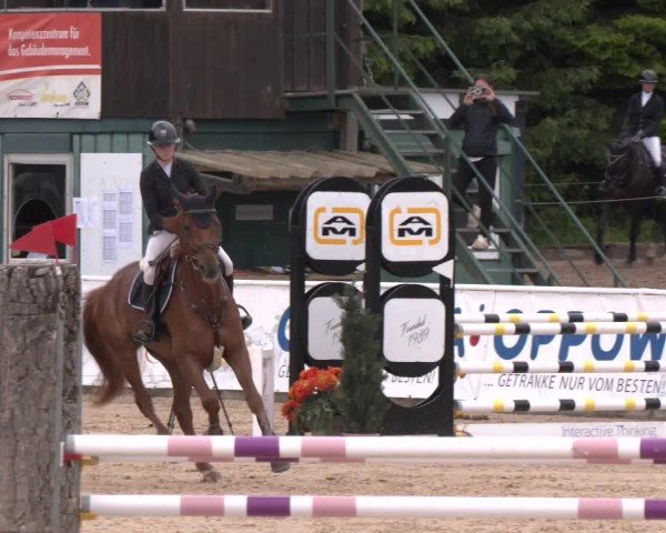 Reitturnier Ranshofen - Braunau am Inn 2024