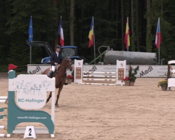 Reitturnier Ranshofen - Braunau am Inn 2024