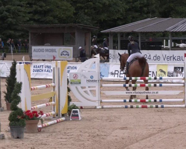 Reitturnier Ranshofen - Braunau am Inn 2024