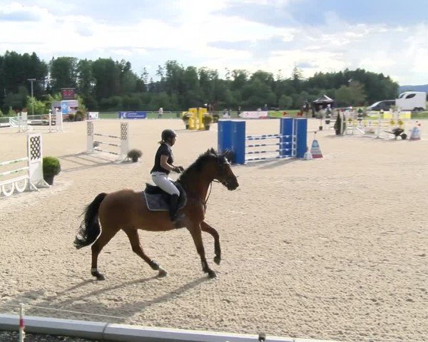 Reitturnier Meilen 2024