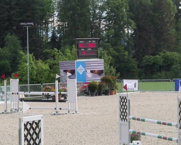 Reitturnier Meilen 2024