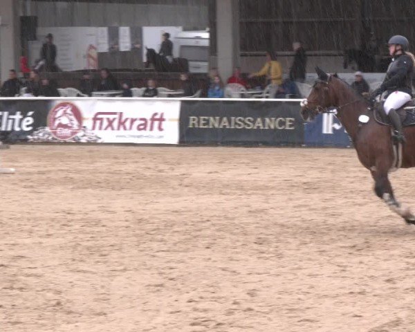 Reitturnier Ranshofen - Braunau am Inn 2024