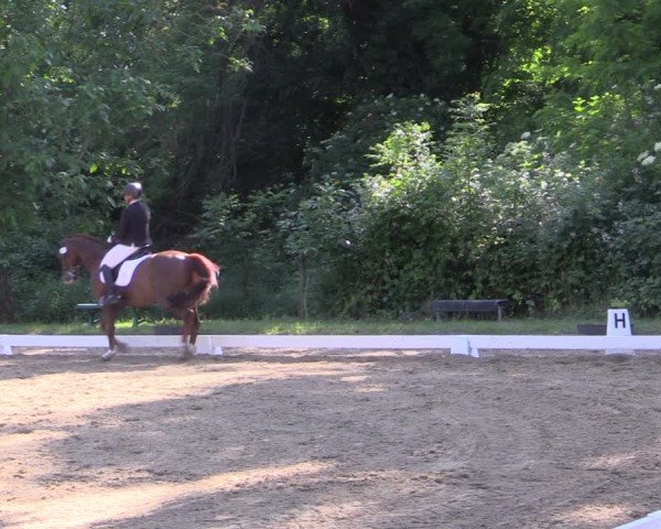 Reitturnier Königsborn 2024