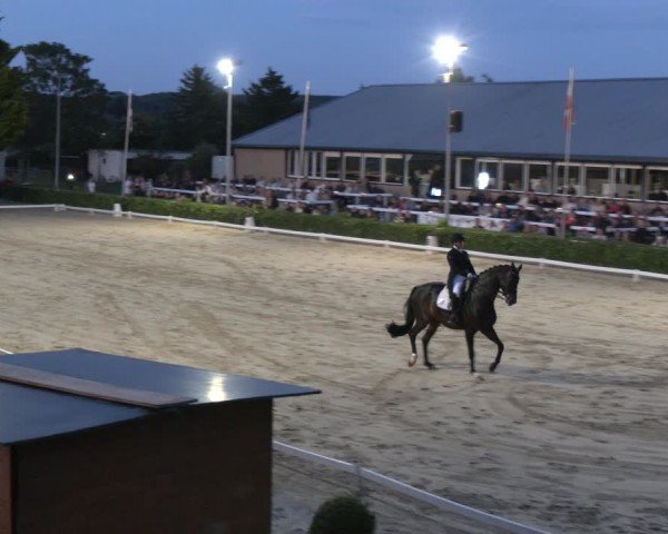 Reitturnier Bornheim-Widdig 2024
