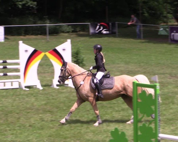 Reitturnier Königsborn 2024